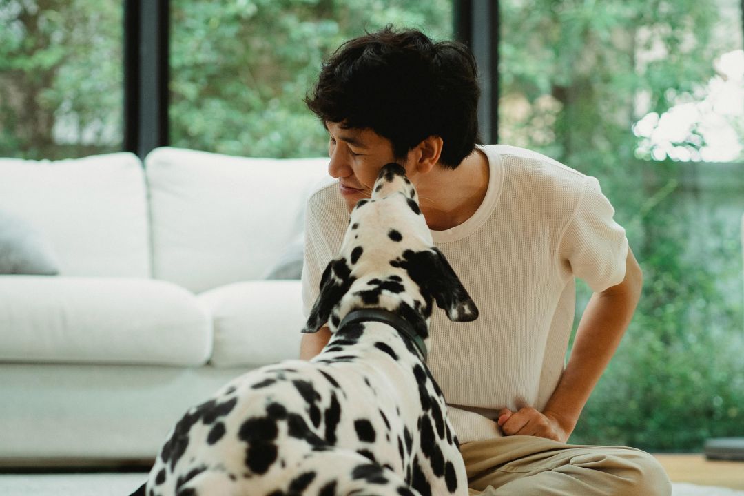 260803062522Unique Bond Between Dogs and Humans What Every Pet Parent Should Know.jpg.jpeg